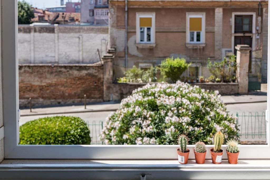 Quirky Apartment Arena With Parking Πούλα Εξωτερικό φωτογραφία